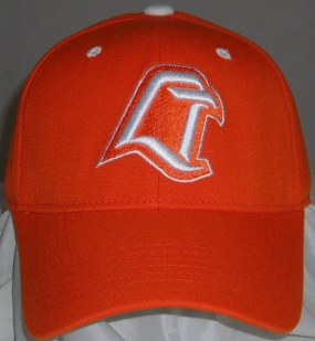 unknown Bowling Green Falcons Team Color One Fit Hat