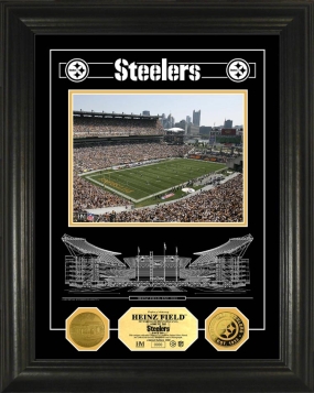 unknown Heinz Field Archival Etched Glass 24kt Gold Coin Photo Mint