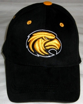 unknown Southern Miss Golden Eagles Youth Team Color One Fit Hat