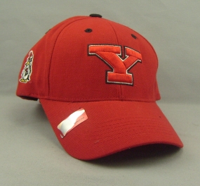 unknown Youngstown State Penguins Adjustable Hat