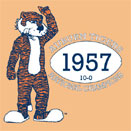 Auburn Vintage T-Shirt