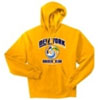 Vintage NY Cosmos Hoody