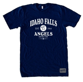 unknown Idaho Falls Angels Clubhouse Vintage T-Shirt